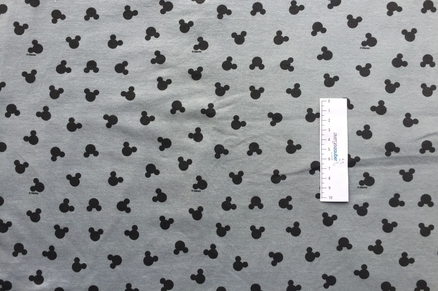Mickey Mouse Mickey Mouse